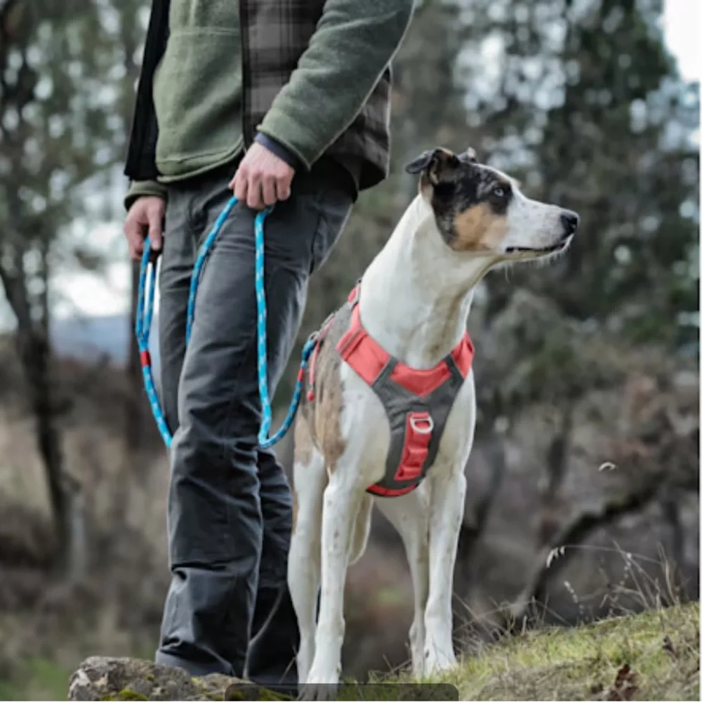 Kurgo Journey Air Harness For Dogs Grey/Pink Vest Harnesses For Dogs Small NEW